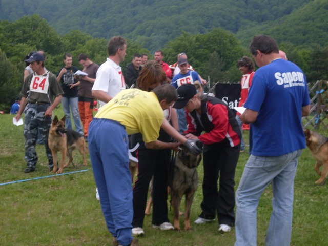 05.JPG