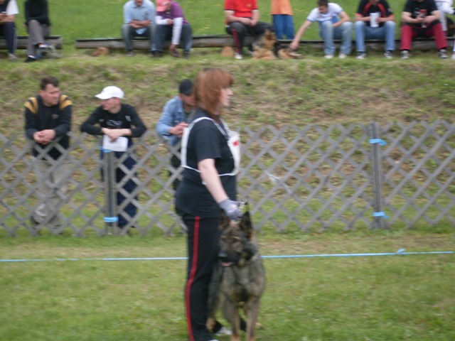 14.JPG