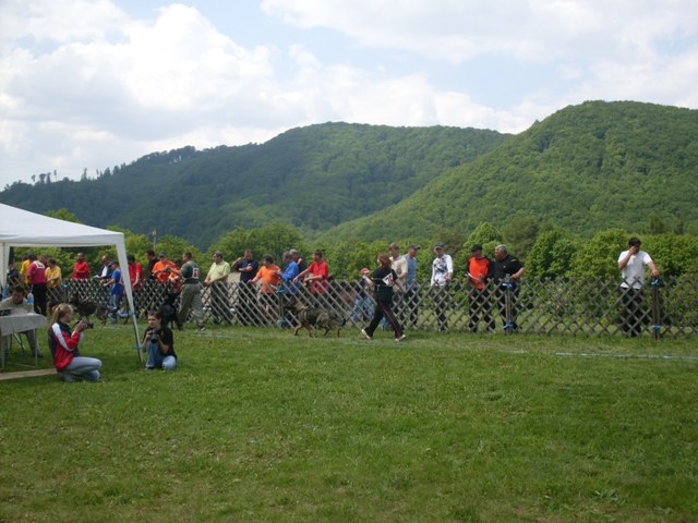 17.JPG