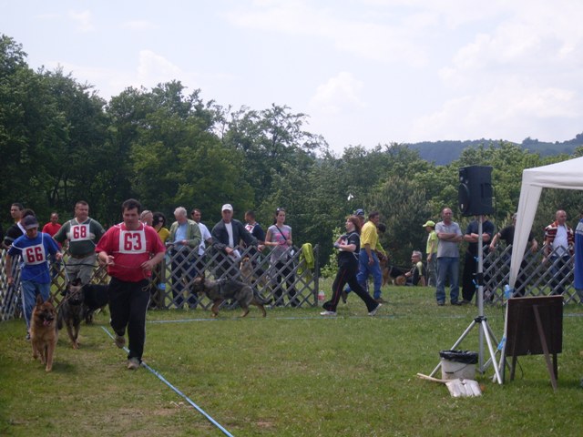 20.JPG