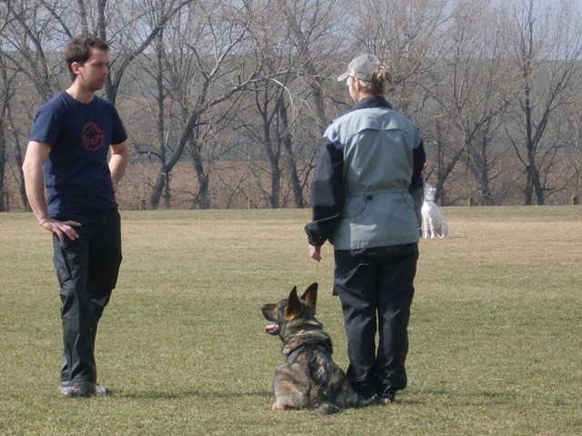 03.JPG