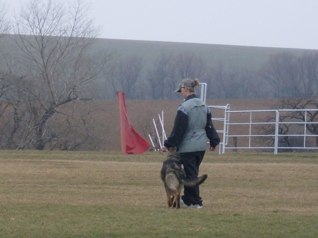 07.JPG